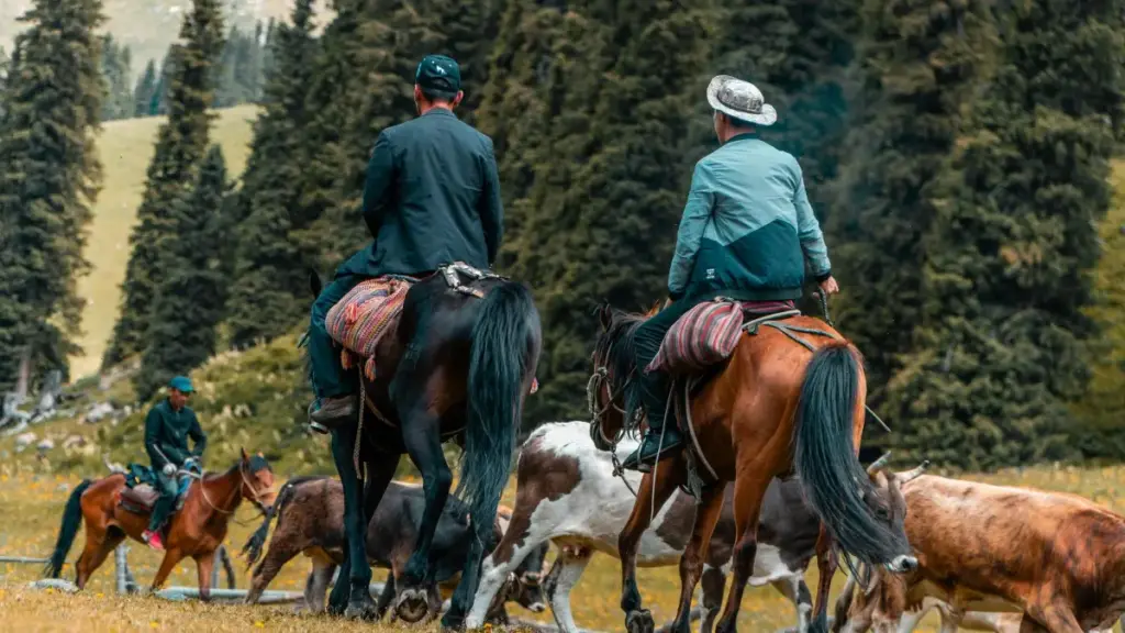 Gakeɖeɖe na kreatɛɖɔ̀ wɔ Togo: nyateƒe ɖe faɖoɖoɖoɖo ɖe Bilibili ke ɖe Algerie brands le, si wòle agbale gbeɖeɖe kple deals.