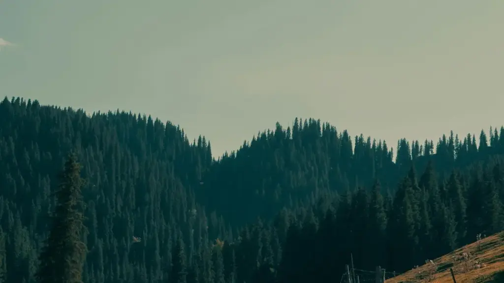 Nyateƒe si le Pinterest dzi be nàƒo Iceland brands. Nyaa dzidzɔ, outreach, DM, boards kple wardrobe haul videos ɖe nyui.