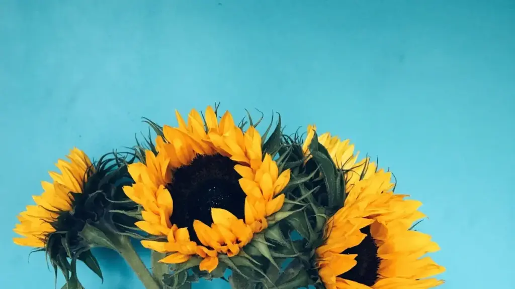 Nya dzɔdzɔdzɔwo si wòle be nàtsɔ Ukraine Clubhouse creatorfɔwo kple unboxing campaign si wòle go kpakplii. Menye theory ko, ke boŋ practical steps, trend, kple measurement.